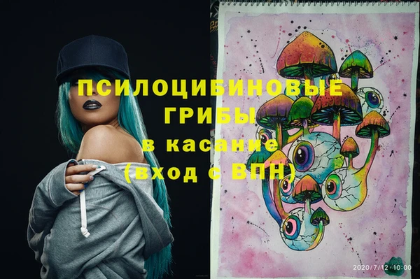 СК Белокуриха
