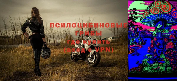 СК Белокуриха