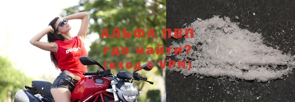 ГАЛЛЮЦИНОГЕННЫЕ ГРИБЫ Сосновый Бор
