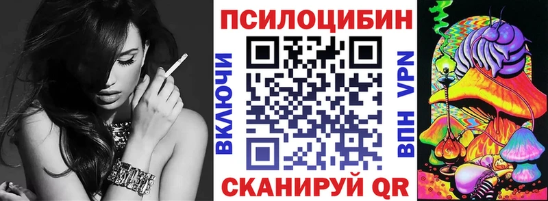 Галлюциногенные грибы Psilocybe  Куровское 